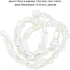 BENECREAT 2 Strands Column Natural White Shell Beads Strands BSHE-BC0001-01-2