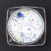 Holographic Chunky Glitter Nail Art Pigment Dust MRMJ-S015-009K-2