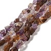 Raw Rough Natural Purple Lodolite Quartz/Purple Phantom Quartz Beads Strands G-I283-G06-01-1