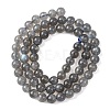 Natural Labradorite Round Bead Strands G-M263-B-03-6