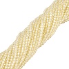 Transparent Glass Beads Strands EGLA-N028-01A-A09-2