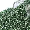 TOHO 11/0 Round Beads X-SEED-TR11-1006-1