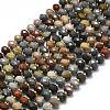 Natural Ocean Jasper Beads Strands G-P573-A25-01-2