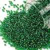 TOHO Round Seed Beads SEED-XTR15-0167B-1
