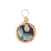 Natural Abalone Shell/Paua Shell Pendants PALLOY-JF00457-01-2