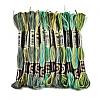 6-Ply Polyester Embroidery Floss OCOR-FZ0001-01Q-1
