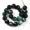 Natural Fuchsite Beads Strands G-S345-10mm-33-3