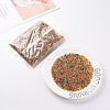 12/0 Round Glass Seed Beads SEED-US0003-2mm-TR-5