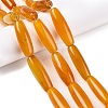 Natural Agate Dyed Beads Strands G-T138-230H-1