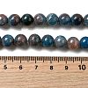 Natural Apatite Beads Strands G-D340-A02-8mm-5