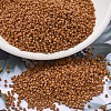 MIYUKI Delica Beads SEED-JP0008-DB2287-1