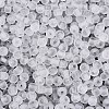 FGB Frosted Transparent Glass Seed Beads SEED-N013-02A-01-3
