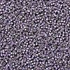 MIYUKI Delica Beads SEED-X0054-DB1065-3