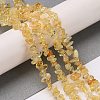 Natural Citrine Chip Beads Strands X-G-D093-A03-2