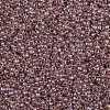TOHO 11/0 Round Beads X-SEED-TR11-0771-2