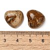 Natural Picture Jasper Cabochons G-F776-02A-17-3