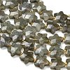 Natural Gray Labradorite Beads Strands G-L657-A02-01-4