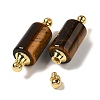 Natural Tiger Eye Connector Charms G-Z039-01G-06-2