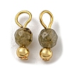 Natural Labradorite Faceted Round Charms PALLOY-NH00001-1