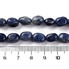 Natural Sodalite Beads Strands G-G146-A03-01-5
