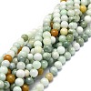 Natural Myanmar Jade Beads Strands G-E576-08A-4