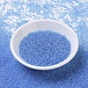 MIYUKI Round Rocailles Beads SEED-G007-RR0159-2
