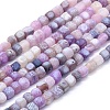 Dyed Natural Weathered Agate Beads Strands G-F583-11B-1