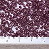 MIYUKI Round Rocailles Beads X-SEED-G007-RR0313-4