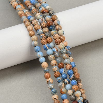 Dyed Natural Regalite/Imperial Jasper/Sea Sediment Jasper Beads Strands G-B124-C04-13-1