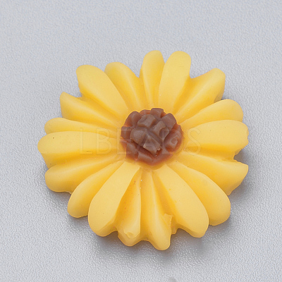 Resin Cabochons CRES-Q197-24-1