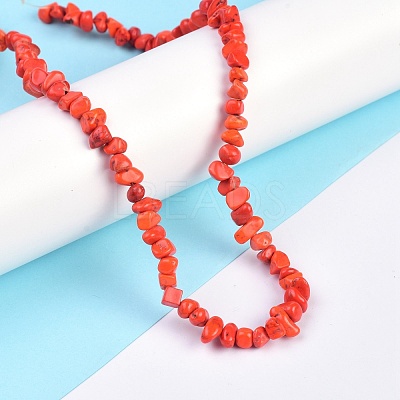 Natural Magnesite Beads Strands TURQ-P001-02A-10-1
