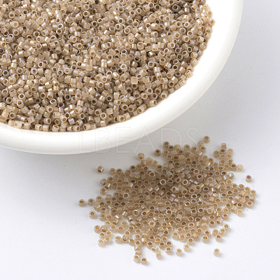 MIYUKI Delica Beads SEED-JP0008-DB1731-1