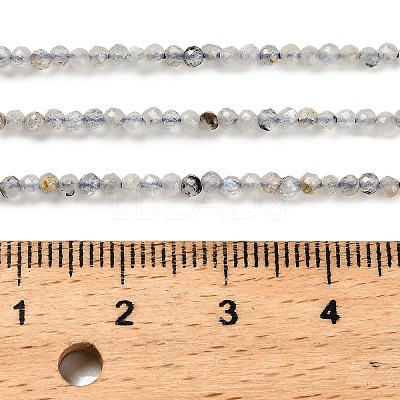 Natural Labradorite Beads Strands G-RM2025-10-2mm-1