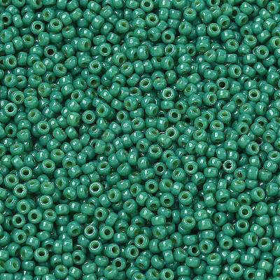 MIYUKI Round Rocailles Beads SEED-G007-RR4477-1