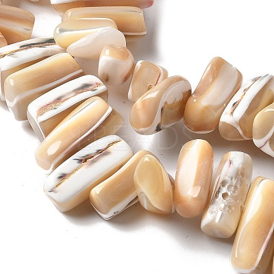 Dyed Natural Trochus Shell Beads Strands SSHEL-C013-09K-1