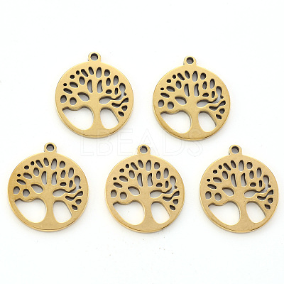 304 Stainless Steel Pendants X-STAS-N092-09G-1