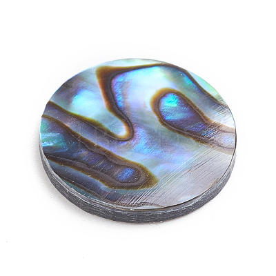 Natural Abalone Shell/Paua Shell Cabochons X-SSHEL-L017-001-1