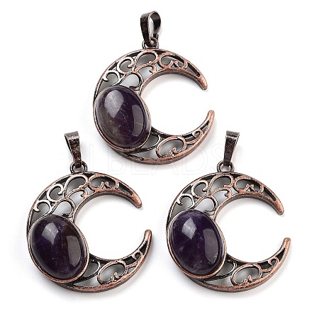 Natural Amethyst Pendants G-L602-01R-22-1