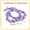 1 Strand Electroplated Natural Quartz Beads Strands G-PA0001-18E-2
