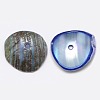 Dyed Natural Spiral Shell Chips Beads SHEL-A003-B01-2