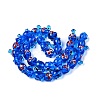Handmade Lampwork Beads Strands LAMP-N024-36C-2