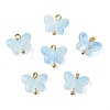 Alloy Glass Pendants GLAA-P080-01G-02-1