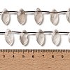 Natural Smoky Quartz Beads Strands G-P607-A10-01-5