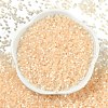 Imitation Cat Eyes Glass Seed Beads SEED-H003-03R-3