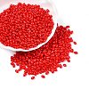 Baking Paint Glass Seed Beads SEED-T006-03S-3