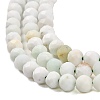 Natural Green Opal Beads Strands G-Z035-A02-03D-4