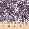 MIYUKI Round Rocailles Beads X-SEED-G007-RR1013-4