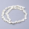 Natural White Shell Beads Strands X-SSHEL-12X11-2