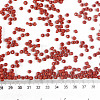 6/0 Glass Seed Beads X2-SEED-A010-4mm-45-3