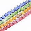 Freshwater Shell Beads Strands SHEL-S276-31-1